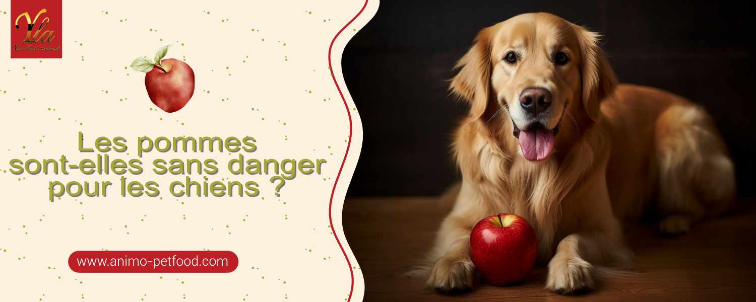 les chiens peuvent-ils manger des pommes 